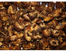 -Waschnsse 1kg