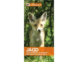 Flyer Jagd