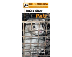 Flyer Infos ber Pelz