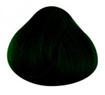 Directions Haartönung EBONY 89ml